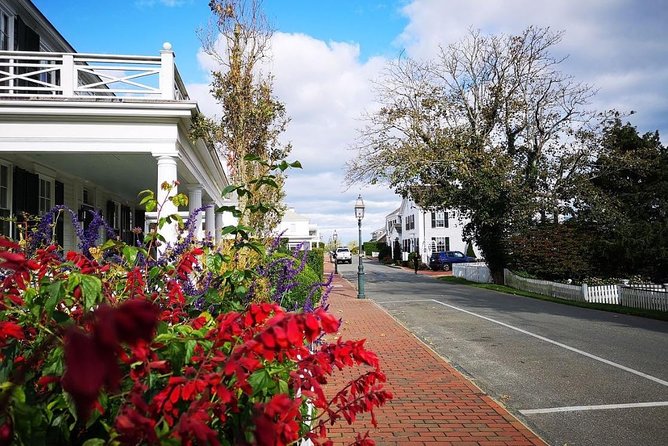 #1 Best 3hr Martha's Vineyard shared Island Tour from Oak Bluffs - Small-Group Size and the Van Comfort That Changes the Day