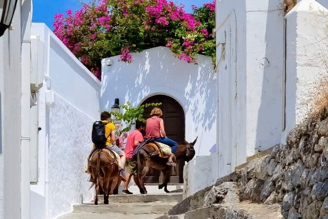 1 Day Rhodes Island Tour including Lindos and Medieval City - Guide impact: when the storytelling makes the day