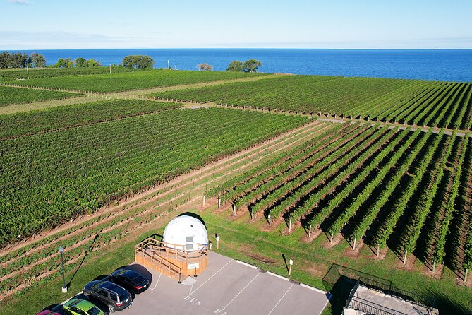 1 Hour Private Vineyard Dome Experience in Niagara-on-the-Lake - Inside the Vineyard Dome: Views and the Feel of the Experience