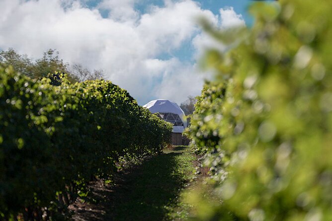 1 Hour Private Vineyard Dome Experience in Niagara-on-the-Lake - Why This Tasting Value Works at $45.06