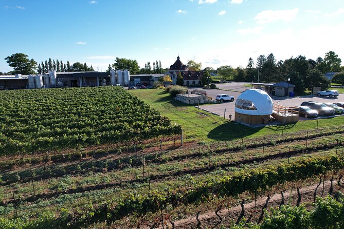1 Hour Private Vineyard Dome Experience in Niagara-on-the-Lake - Logistics That Can Make or Break Your Day
