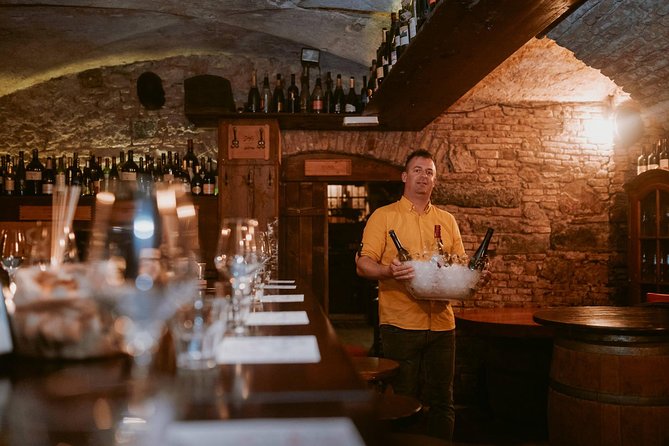 2-Hour Interactive Wine Tasting Experience in Ljubljana - Should you book? My practical take