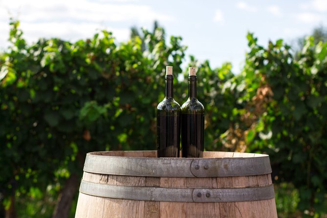 2 Hours Water to Wine Kayak Trip from Cottonwood - Key things to know before you go