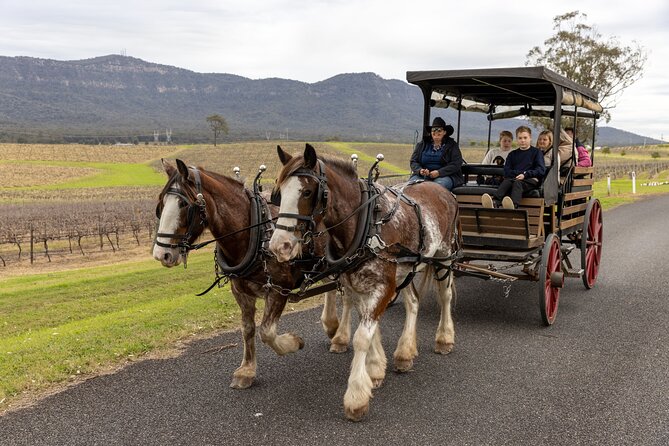 3- Hour Wine and Harvest the Hunter Horse Tour in Pokolbin - Fast Highlights Before You Book