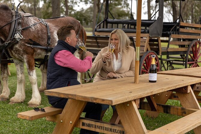 3- Hour Wine and Harvest the Hunter Horse Tour in Pokolbin - Why the Horse-and-Wine Pace Feels Different in Pokolbin