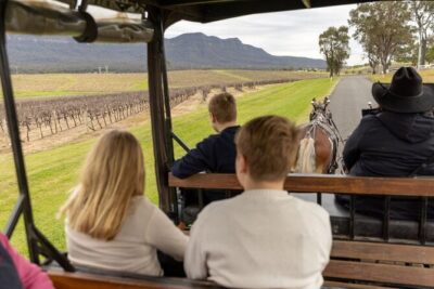3- Hour Wine and Harvest the Hunter Horse Tour in Pokolbin - Stop in Pokolbin: Where the Tour Begins and What to Expect Early