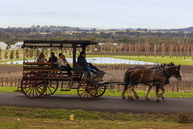 3- Hour Wine and Harvest the Hunter Horse Tour in Pokolbin - Price and Value at $106.87: Is It Worth It?