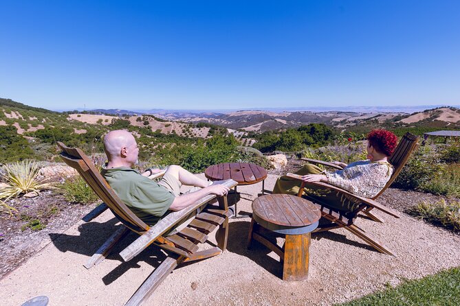 3-Winery Paso Robles Tour with Picnic Lunch & Tasting Fees - Quick Hits Before You Go