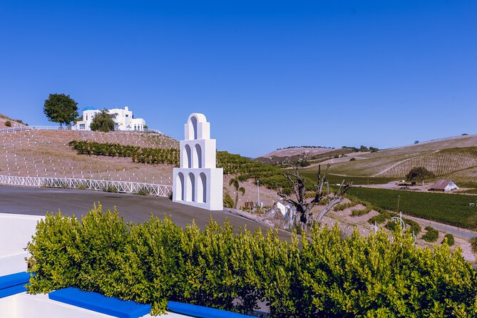 3-Winery Paso Robles Tour with Picnic Lunch & Tasting Fees - How the Driver/Host Shapes the Whole Experience