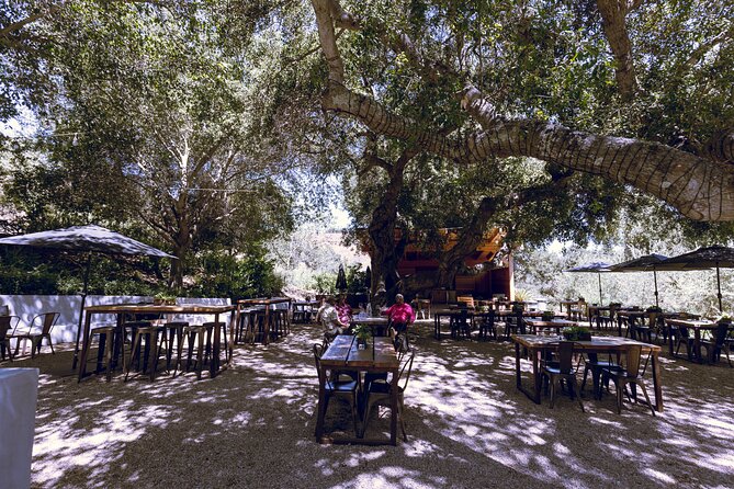 3-Winery Santa Ynez Tour with Picnic Lunch & Tasting Fees - Is it worth $149? My honest take