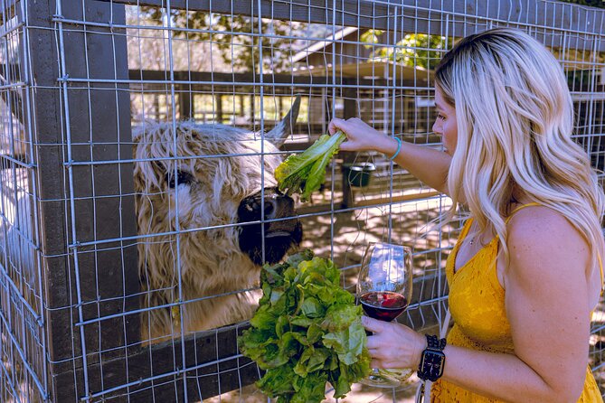 3-Winery Santa Ynez Tour with Picnic Lunch & Tastings from City - Price and Value: What $179 Really Buys You