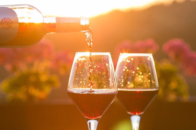 4-Hour Traverse City Sunset Wine Tour: 3 Wineries on Old Mission Peninsula - Key Things to Know Before You Go