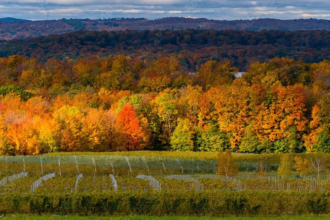 4-Hour Traverse City Sunset Wine Tour: 3 Wineries on Old Mission Peninsula - How This 4-Hour Limo Sunset Tour Plays Out on Old Mission Peninsula