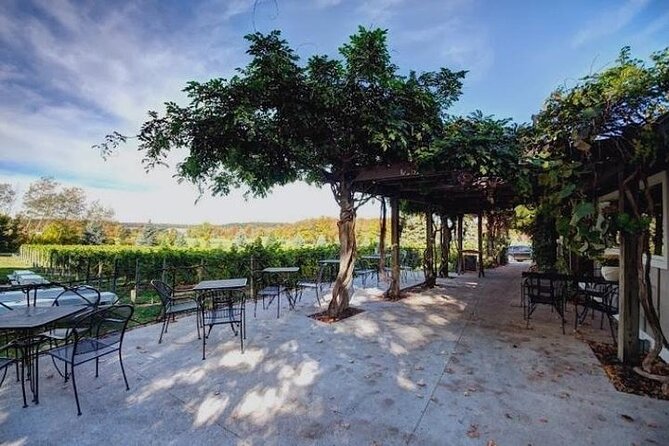 4-Hour Traverse City Sunset Wine Tour: 3 Wineries on Old Mission Peninsula - Bonobo Winery: A Short, Enjoyable Stop With a Souvenir Glass