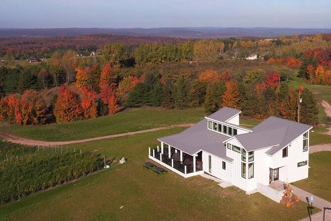 4-Hour Traverse City Sunset Wine Tour: 3 Wineries on Old Mission Peninsula - Guide, Timing, and Real-World Tips That Make or Break the Night
