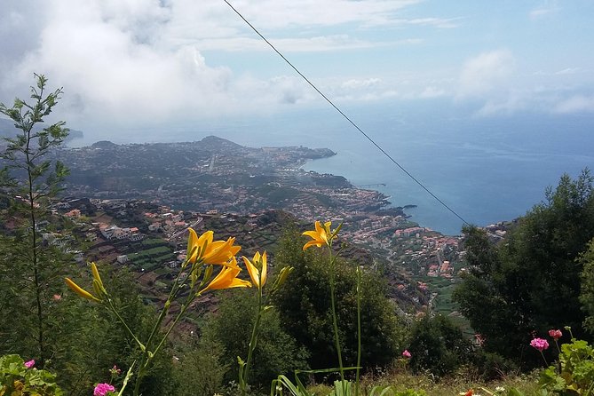 4x4 Safari Half day Poncha, Mountains, Vineyards and Cabo Girão Small group - Poncha and local guide talk: the taste that makes it feel Madeira