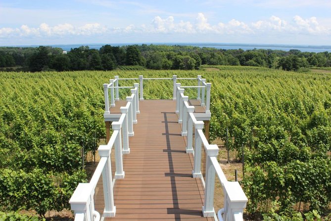 5-Hour Traverse City Wine Tour: 4 Wineries on Old Mission Peninsula - Bonobo Winery: fewer varietals, strong quality, and snack selection
