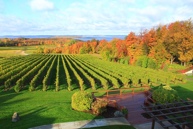 5-Hour Traverse City Wine Tour: 4 Wineries on Old Mission Peninsula - Getting on the bus in Traverse City (and choosing your seats)