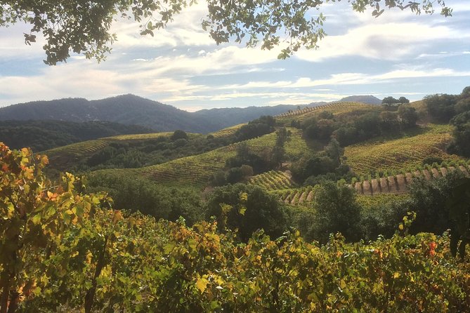 6-Hour Exclusive Wine Tour Experience: Up to 6 Guests - Who this tour suits best