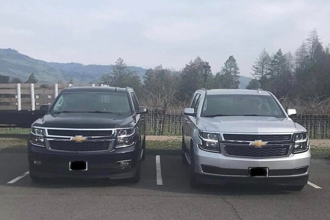 6 Hour Napa or Sonoma Valley Wine Tour by Private SUV - The driver-guide impact: names you’ll hear and what they do well