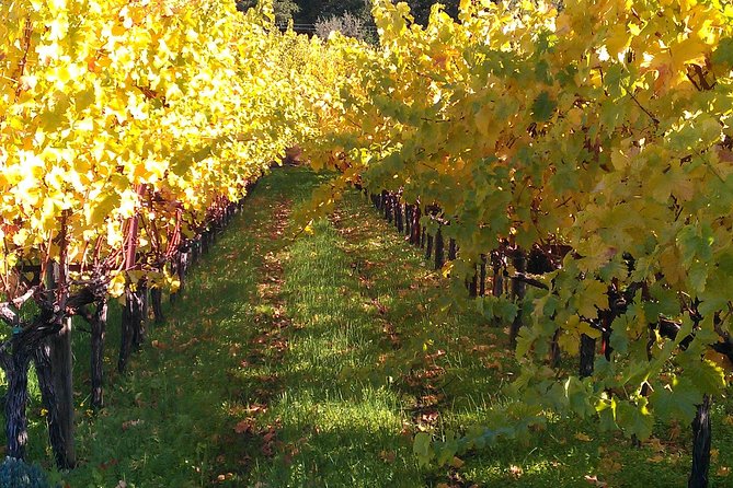 6 Hour Napa or Sonoma Valley Wine Tour by Private SUV - Price and day-of fees: when the base number isn’t the final number