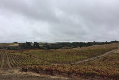 6-Hour Private Limousine Wine Country Tour of Napa or Sonoma - The 6-hour flow: how your day stays on track