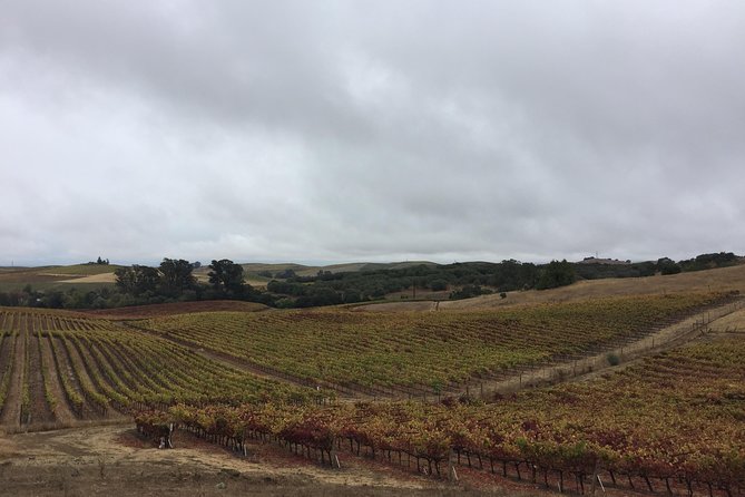 6-Hour Private Limousine Wine Country Tour of Napa or Sonoma - The 6-hour flow: how your day stays on track
