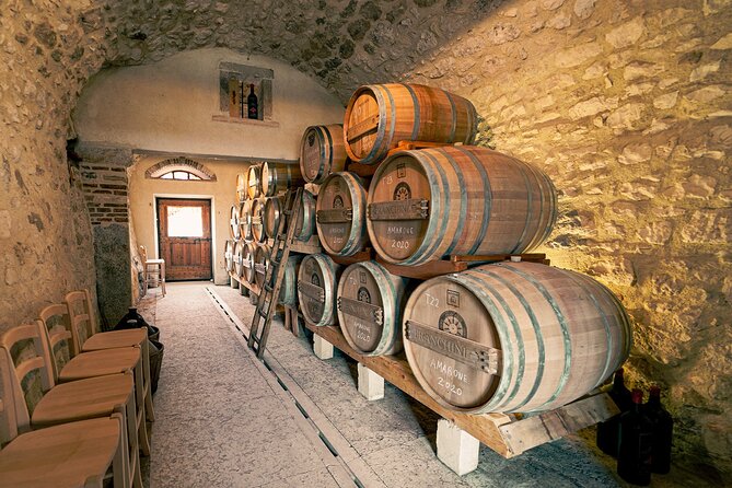 6 Wine Tasting in Valpolicella Classica: the cradle of Amarone - Vineyard Walk Plus Barrel Cellar: What Changes in the Winery