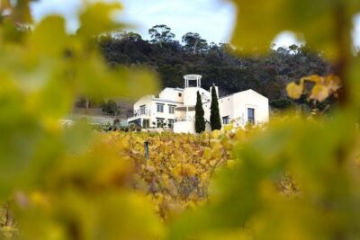7- 8 Hour StelaVino Guided Wine Tours From Hobart, Tasmania - Getting started in Hobart: meeting point and how the day flows