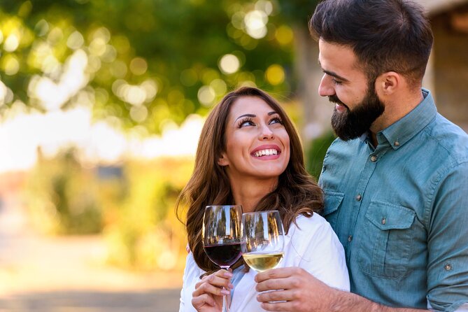 8hr Private Sonoma and Napa Wine Tour from San Francisco.XL SUV - Getting From San Francisco to Napa and Sonoma Without Losing Your Day