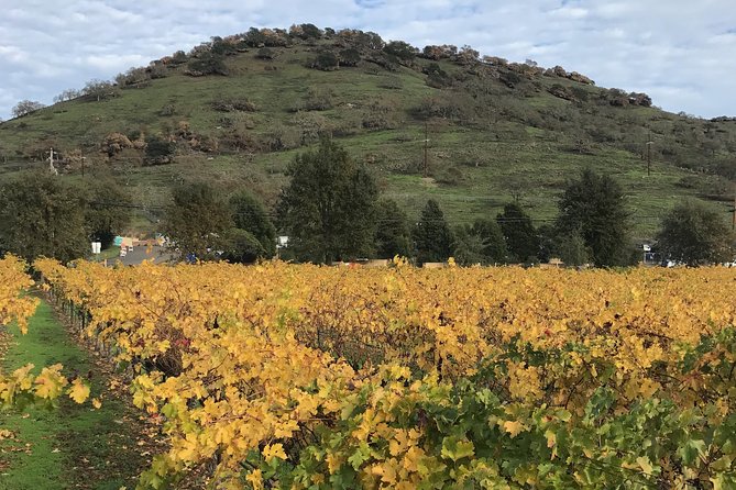 8hr Private Sonoma and Napa Wine Tour from San Francisco.XL SUV - Who This Tour Is Best For