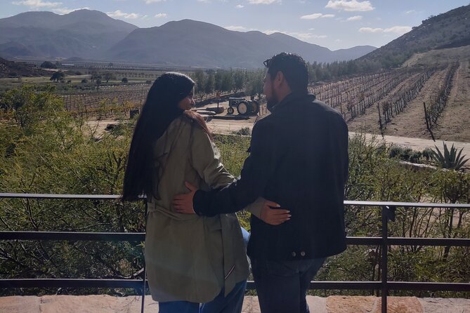 $99 Valle de Guadalupe Wine Tours - DayTrip to baja from San Diego - Stop 5: La Justina Valle BajaMed cuisine with live music