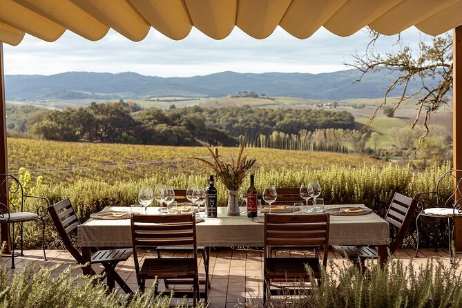 A Brunello Cooking Class with Vineyards View Winery - Who should book this Brunello cooking class