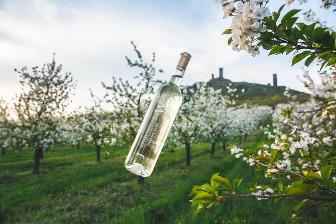 A delightful wine tasting in the scenic countryside with lunch - Quick hits before you go