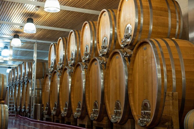 A delightful wine tasting in the scenic countryside with lunch - Prague pickup to countryside drive: the day starts relaxed