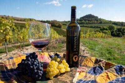 A delightful wine tasting in the scenic countryside with lunch - Off-road 4x4 through extinct-volcano country: the fun part