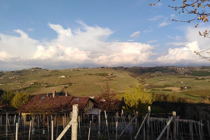 Abellonio Cascina Piccaluga - visit to the vineyards, to the wine tasting cellar - Key things to know before you go