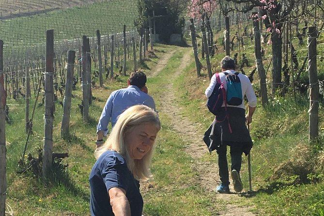 Abellonio Cascina Piccaluga - visit to the vineyards, to the wine tasting cellar - Inside the cellar: from harvest to fermentation and aging