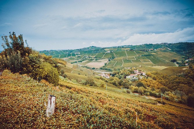Abellonio Cascina Piccaluga - visit to the vineyards, to the wine tasting cellar - Getting there, walking hills, and how long it really takes