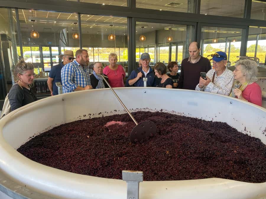 Adelaide: Barossa Premium Wine Tasting tour & Winery Lunch - Who should book this tour, and who might prefer another option