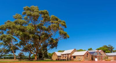 Adelaide: Half-day McLaren Vale & Glenelg Wine Tasting Tour - The Adelaide Hills drive: scenery, wildlife, and photo chances
