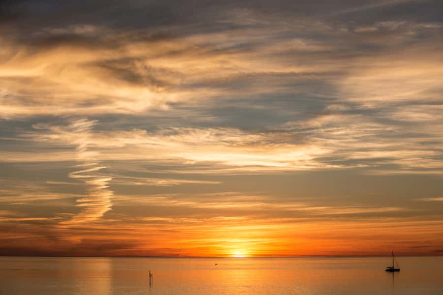 Adelaide: Half-day McLaren Vale & Glenelg Wine Tasting Tour - Bus ride comfort, group size, and how the day feels