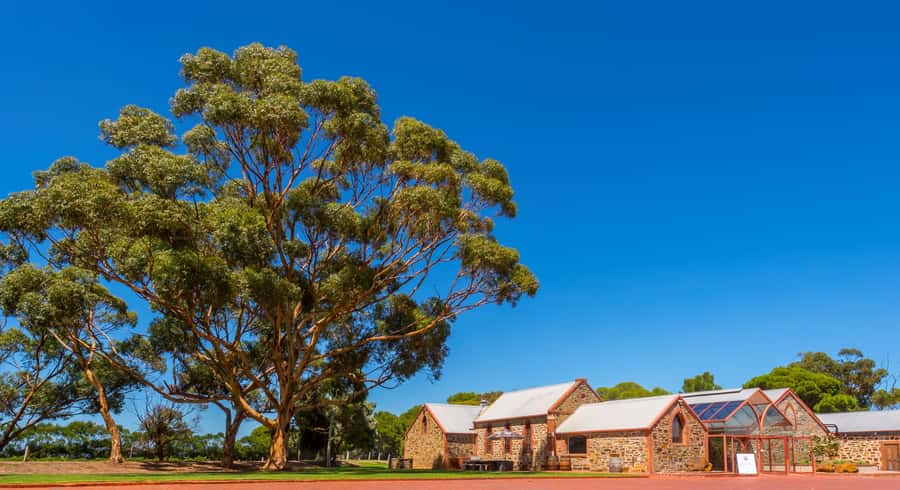 Adelaide: Half-day McLaren Vale & Glenelg Wine Tasting Tour - The Adelaide Hills drive: scenery, wildlife, and photo chances