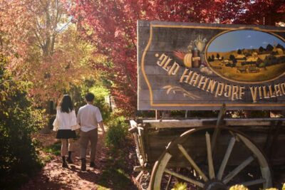 Adelaide: Highlights, Hahndorf & McLaren Vale Wine Tasting - Adelaide City Tour: North Terrace to Montefiore Hill