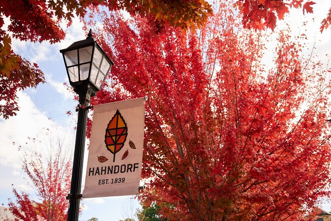 Adelaide Highlights, Hahndorf & McLaren Vale Wine Tasting and Sightseeing Tour - Glenelg for sea air: quick stroll or tram-and-sunset choice