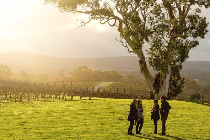 Adelaide Hills & Hahndorf Hop-On Hop-Off Wine Tour - Key Things You’ll Like About This Adelaide Hills and Hahndorf Tour