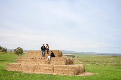 Adelaide: Small Group Tour of Barossa, Wineries with Lunch - Pindarie Cellar Door: Heritage Stables, Vineyard Views, and Morning Tea