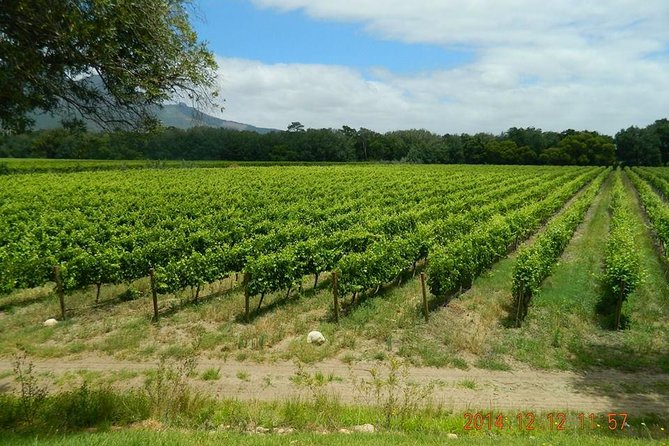 African Story Wine Tours in the Cape Winelands - Small-group transport: the hidden comfort upgrade