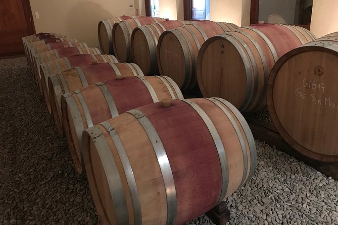 Afternoon Wine Tour to Chateauneuf du Pape from Avignon - Chateau Viewpoint Stop: Fast Photos, Big Payoff