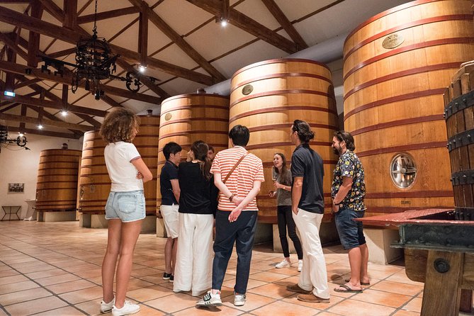 Afternoon Wine Tour to Chateauneuf du Pape from Avignon - What You’ll Taste: Reds, Whites, and Varietals to Catch